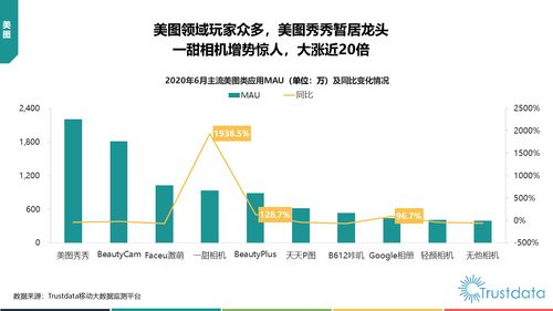 2020年上半年中國移動互聯網行業發展分析報告 研發與維護的雙重驅動